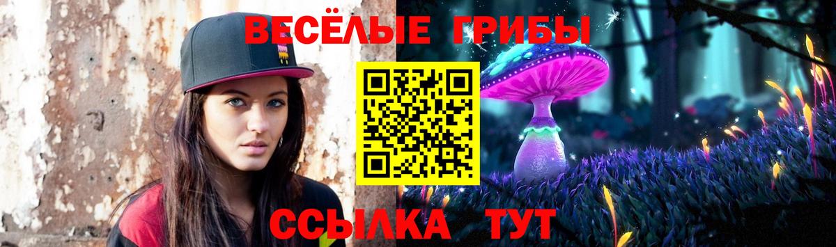Южноуральск  Псилоцибиновые грибы мицелий  Вход с VPN 