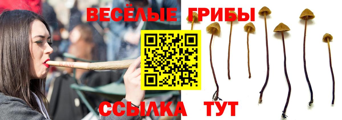Псилоцибиновые грибы GOLDEN TEACHER Южноуральск